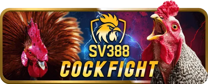 Câu hỏi thường gặp gi88 nổ hũ