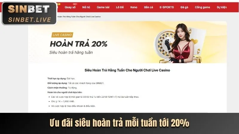 Hình ảnh minh họa các danh mục cookie khác nhau được gi88 nổ hũ sử dụng